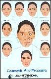 Chart of Cosmetic Acupuncture